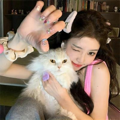 猫狗大战2：珍珠猫复仇